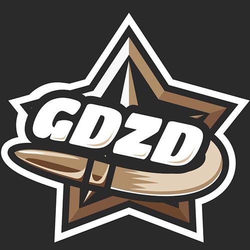 JD Gaming